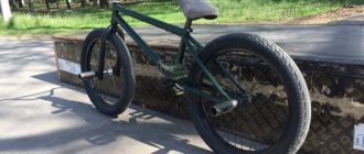 Rower BMX - co to jest, odmiany