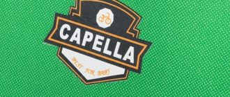 Rowery dziecięce Capella - wady i zalety, wskazówki dotyczące wyboru