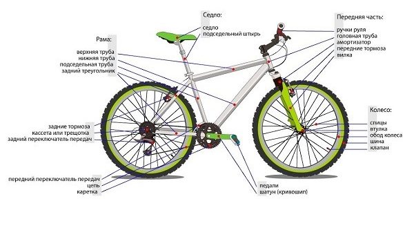 Jak zbudowany jest rower i z czego się składa - schemat z nazwami części