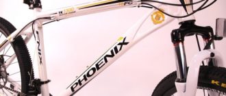 Rower Phoenix - wady i zalety, wskazówki dotyczące wyboru