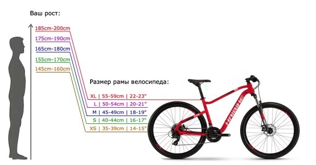wielkość ramy roweru według wysokości